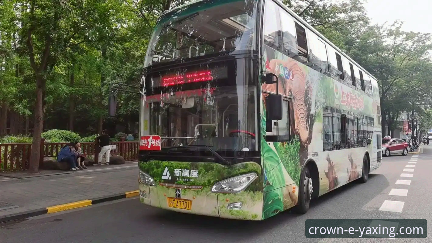 亚星娱乐平台上的亚星品牌客车究竟怎么样？新手如何快速上手体验？